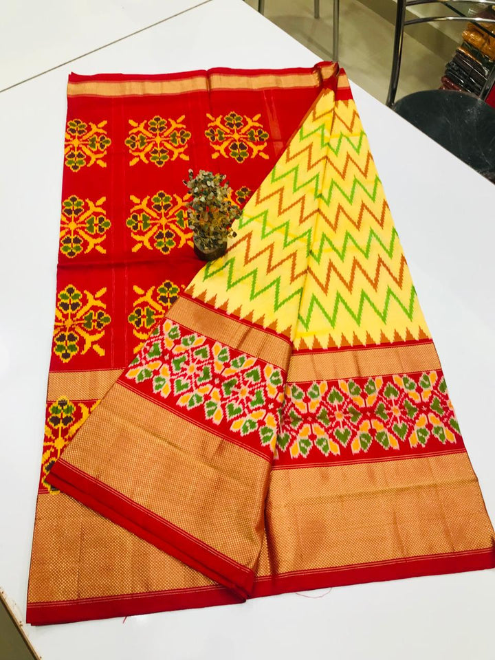 Pochampally Handloom Double Ikat Pure Silk Saree