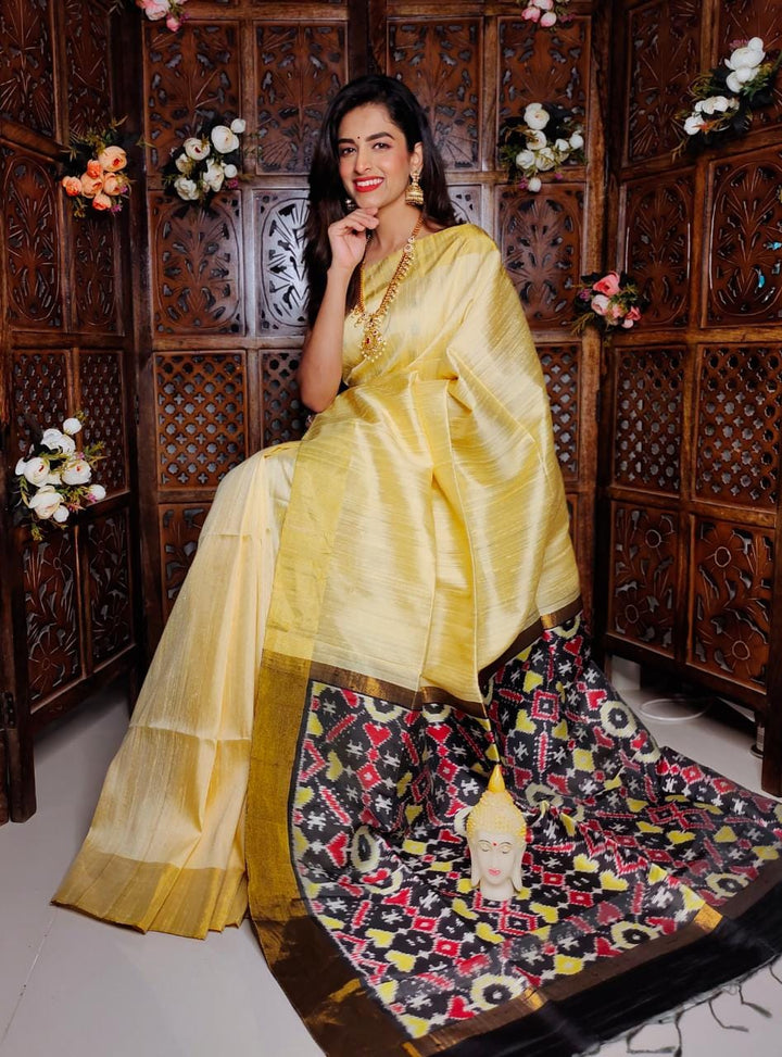 Pochampally Ikat Raw Silk Saree With Blouse
