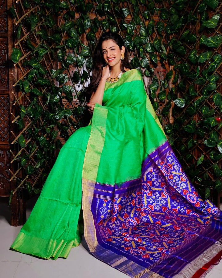 Pochampally Ikat Raw Silk Saree With Blouse
